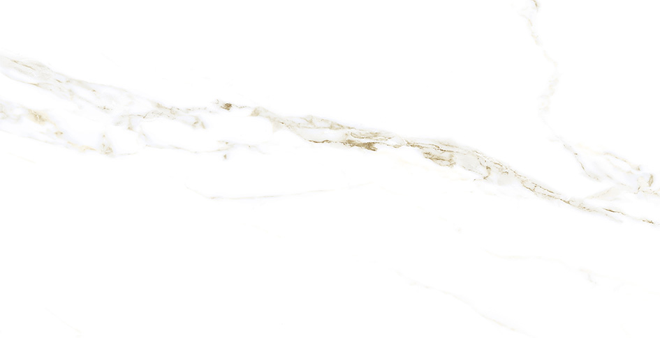 PALADINO POLIDO GRAN